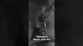 29 июля 2024 г.