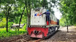 REL KERETA DI BAWAH POHON RINDANG ! Langka Di INDONESIA Suasananya Sejuk.