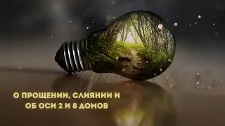 О прощении, о механизме слияния с партнером и еще раз про ось 2 и 8 домов
