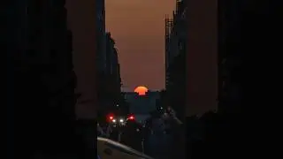 Manhattanhenge 2023 #manhattanhenge #shorts