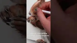Adding Highlights to Watercolour Pencils... Art Tips #watercolorpencils #drawing #arttutorials