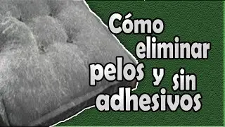 Cómo limpiar los pelos de perros y gatos como por arte de magia #gatos