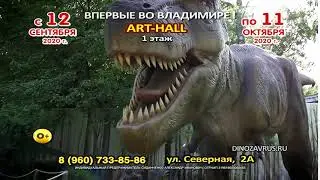 Дино г.Владимир