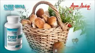 Супер Шилд Актив Artlife Артлайф 