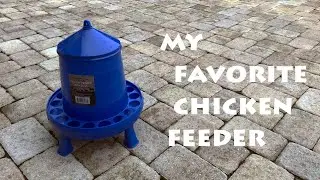 The BEST Chicken Feeder