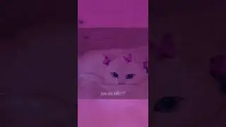 idea for TEMPLATE (video) CAP CUT! 