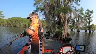 Fishing a HB Frog on Cypress Trees during summer heat