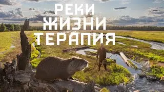 Реки Жизни. Краткосрочная и долгосрочная терапия.