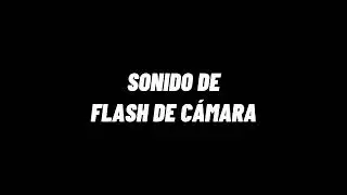 SONIDO DE FLASH DE CÁMARA