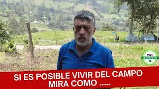 Así podemos Iniciar un Huerto en casa  Cosechar nuestros Alimentos