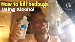 HOW TO KILL BEDBUGS & there eggs | W/ RUBBING ALCOHOL!