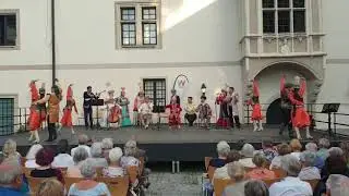 Австрия елінің Вельс қаласында   1