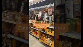 Halloween Decor tiktok christinambecker
