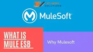 What is Mule ESB | Why Mulesoft |  Mulesoft Training Tutorial for Beginners