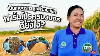 CPP Talk On Tour ep.9 เป็นเกษตรกรลูกค้าสมาชิกฟาร์มโปรครบวงจรดียังไง?