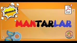 Mantarlar (ty-2023)
