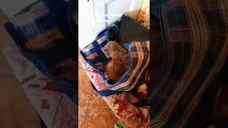 Будем рады любой помощи🙏