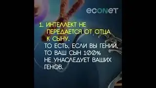 Untitled video