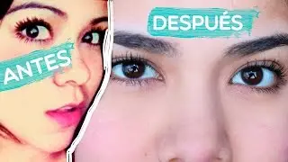 HAZ CRECER TUS CEJAS ♡ (EN 1 SEMANA)