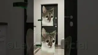 Жиза детства)