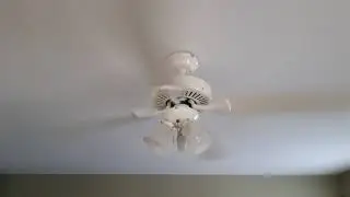 Hunter Essex Ceiling Fan
