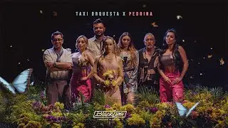 Taxi Orquesta ft. Pedrina - Enamorada (Video Oficial)