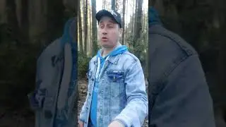 Сыто! 