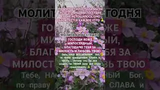 МОЛИТВА НА СЕГОДНЯ✝️ГОСПОДУ ПОМОЛИМСЯ #рек #шортс#хочуврек #молитва #топ #тренды #лайк #психология