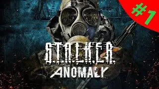 GAMEPLAY| STALKER: ANOMALY - Первое впечатление #stalker #Stream #anomaly #стрим #сталкер #аномали