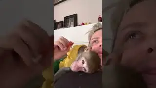 И так каждое утро 