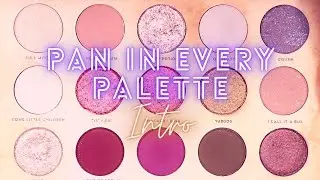 PAN IN EVERY PALETTE INTRO 2022 I Let's try to hit pan in every eyeshadow palette in my collection!