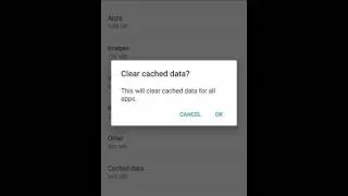 clear cache