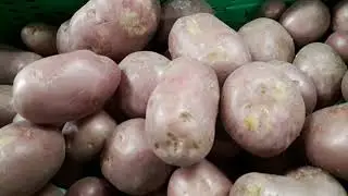 HORRIBLE!!! REVERSO CONTEXT|VEGETABLE PRICES/