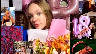учебные будни/ пробник/ мой др 🎂   #beautiful #vlog #11класс #егэ2024