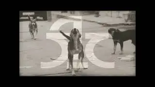 Λόγος Τιμής   Τα Σκυλιά (Philip K  Dark Side Edit) Περίεργα Παιδιά 2016