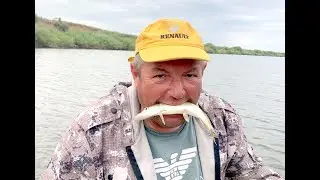 Тауш Привет братан!