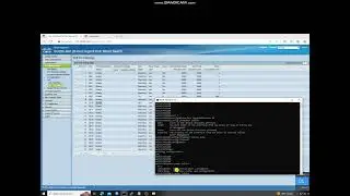 Cisco sg220 POE Settings