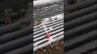 ❄️А потом был снег...❄️