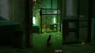 Cat dodges cute robots to get on the lift to safety - Stray