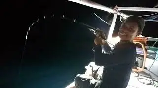 NIKMATNYAAAAA kenzi savoy kz30 versus tuna gigi anjing 8kg