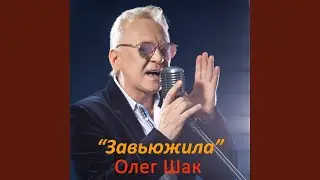 Завьюжила
