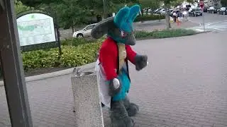 A Wild Lucario Has Appeared!!!