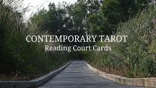 Interpreting Court Cards
