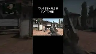 ВСТРЕТИЛ В ПАТРУЛЕ S1MPLE! ПАТРУЛЬ CS:GO 