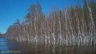Гости
