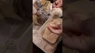 Прямой эфир с МК 