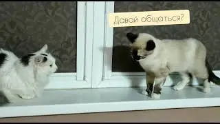 Кто это к нам приехал в гости?=)