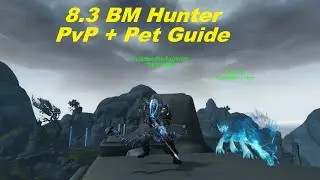 WoW 8.3 BM Hunter PvP + Pet Control Guide - Talents, Stats, Macros, Traits, Rotation