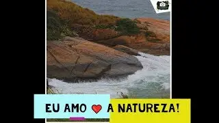 EU AMO A NATUREZA 💚