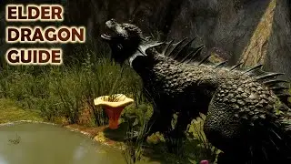 Elder Dragon Guide - Everything You Should Know - Day of Dragons